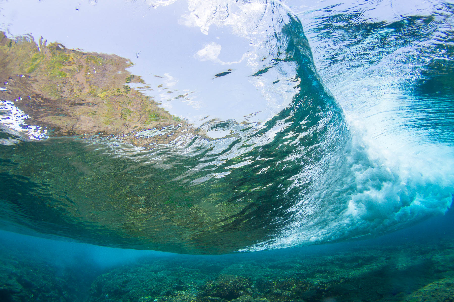 Blue Walls & Coral Floors