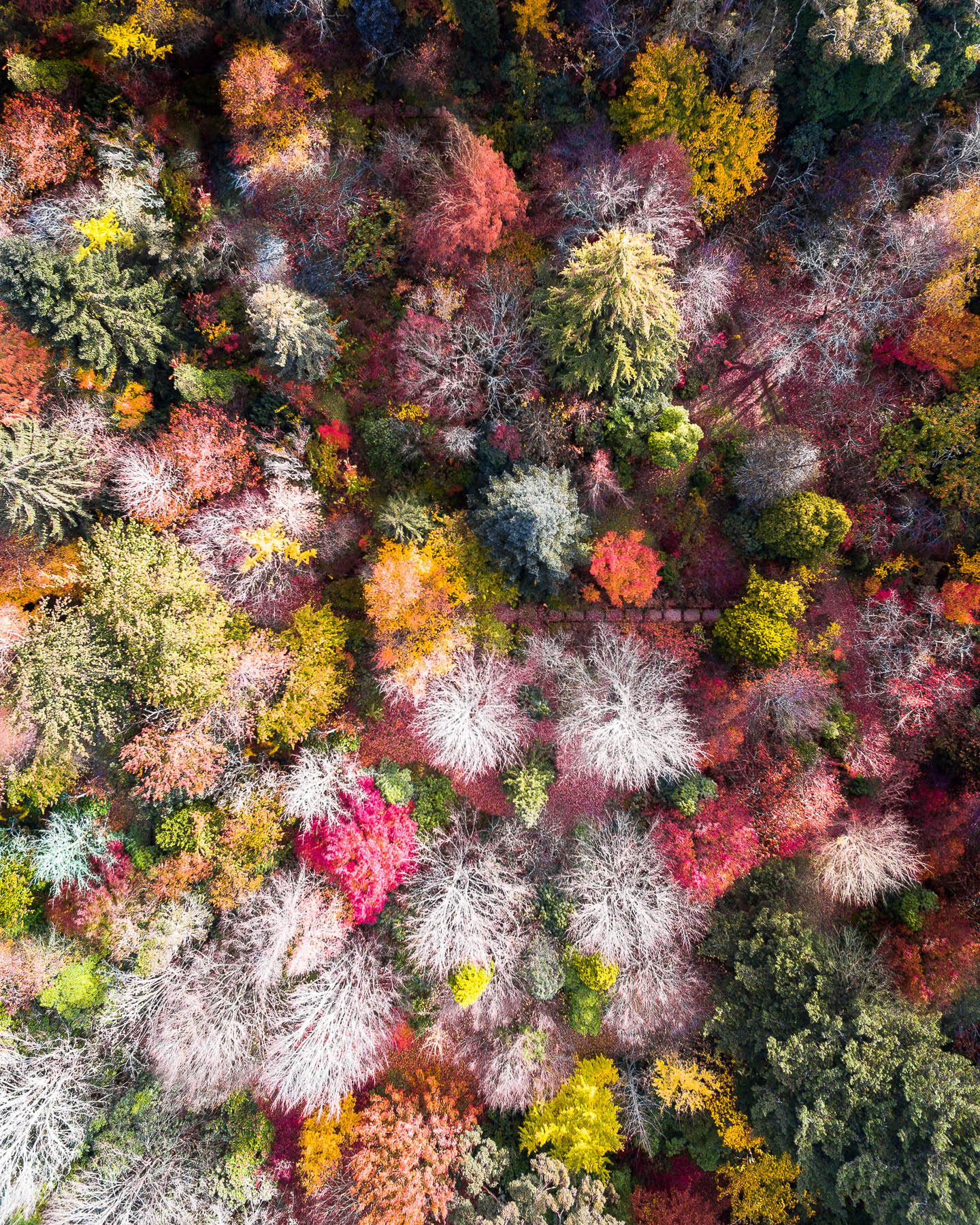 Hundreds & Thousands