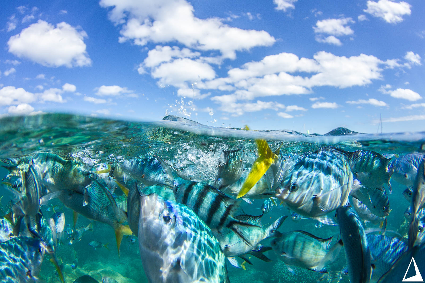 Idyllic Intersections