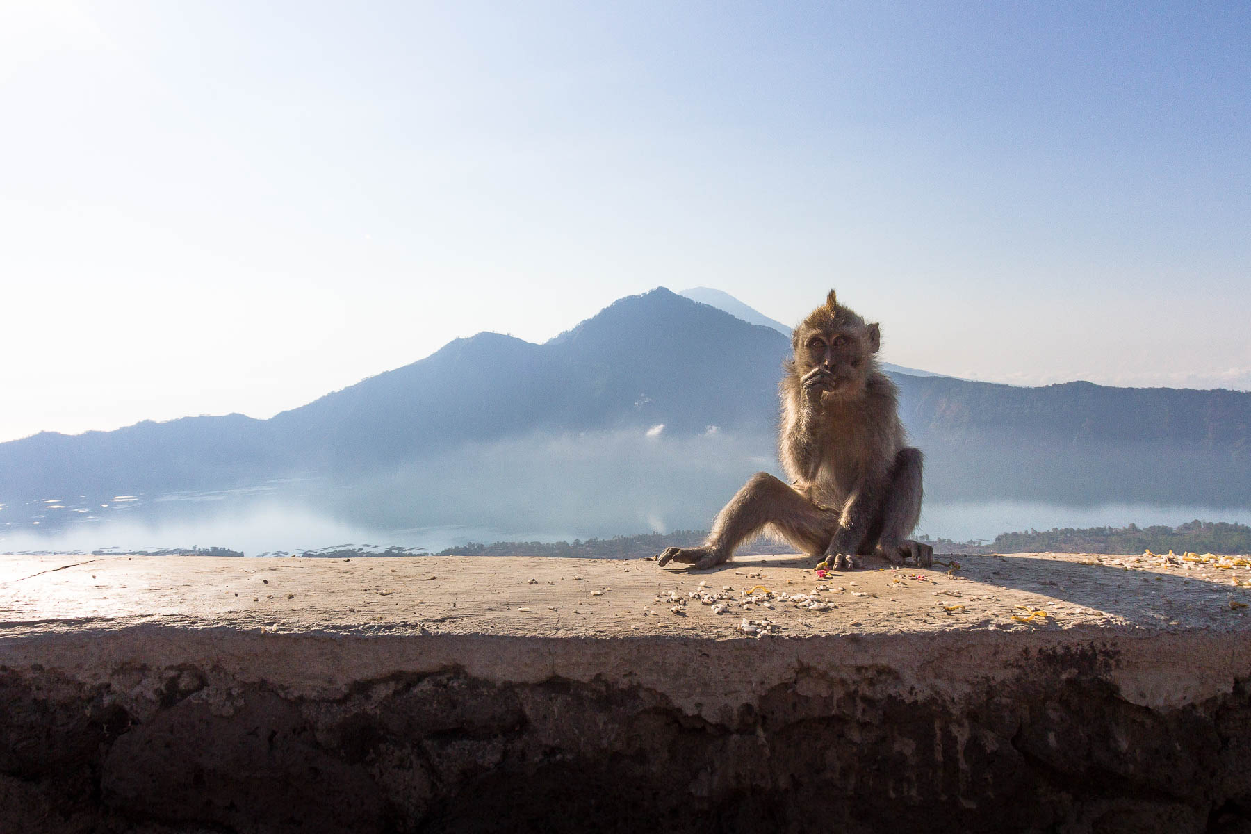 King of the Mountain