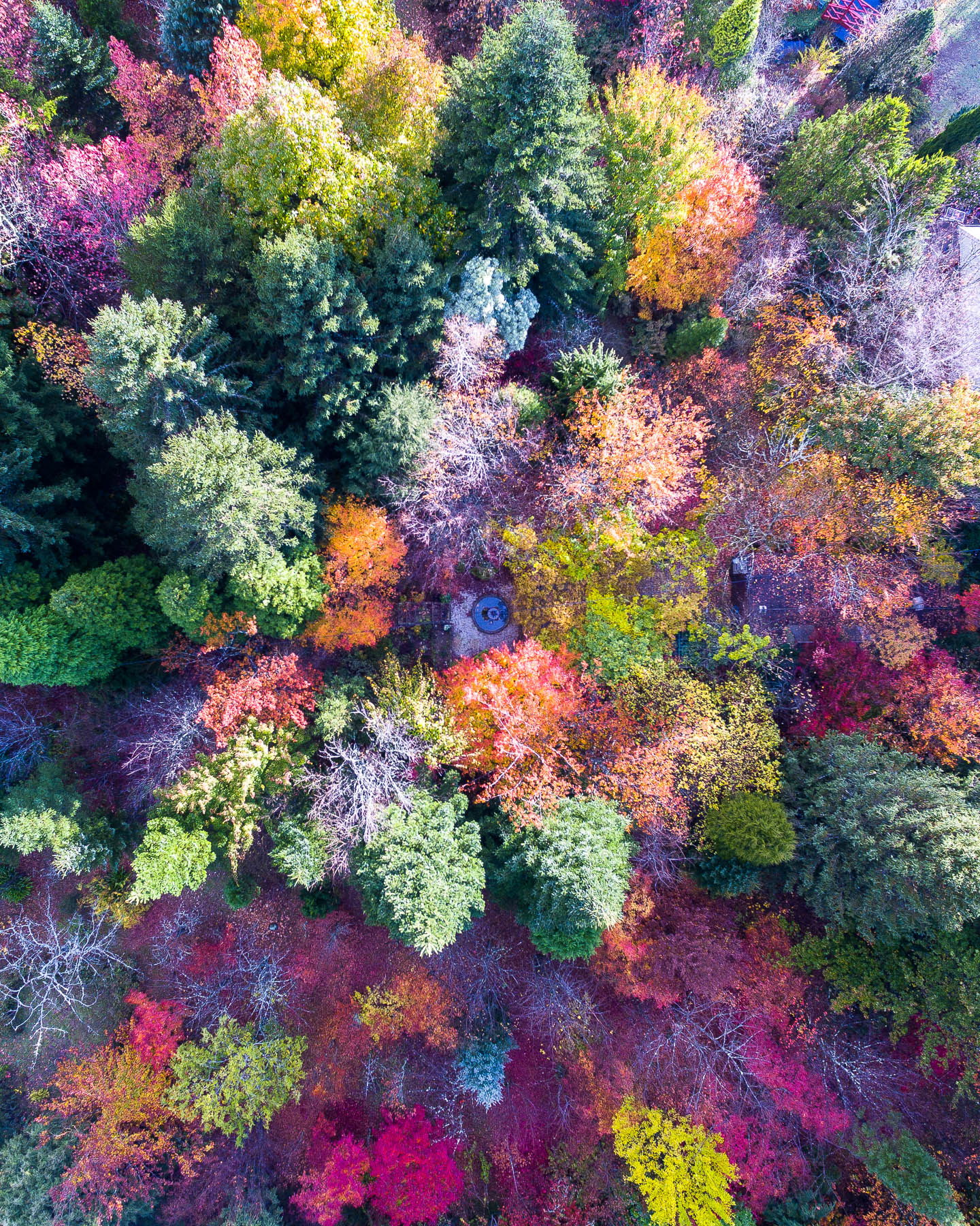 Nature’s True Colours