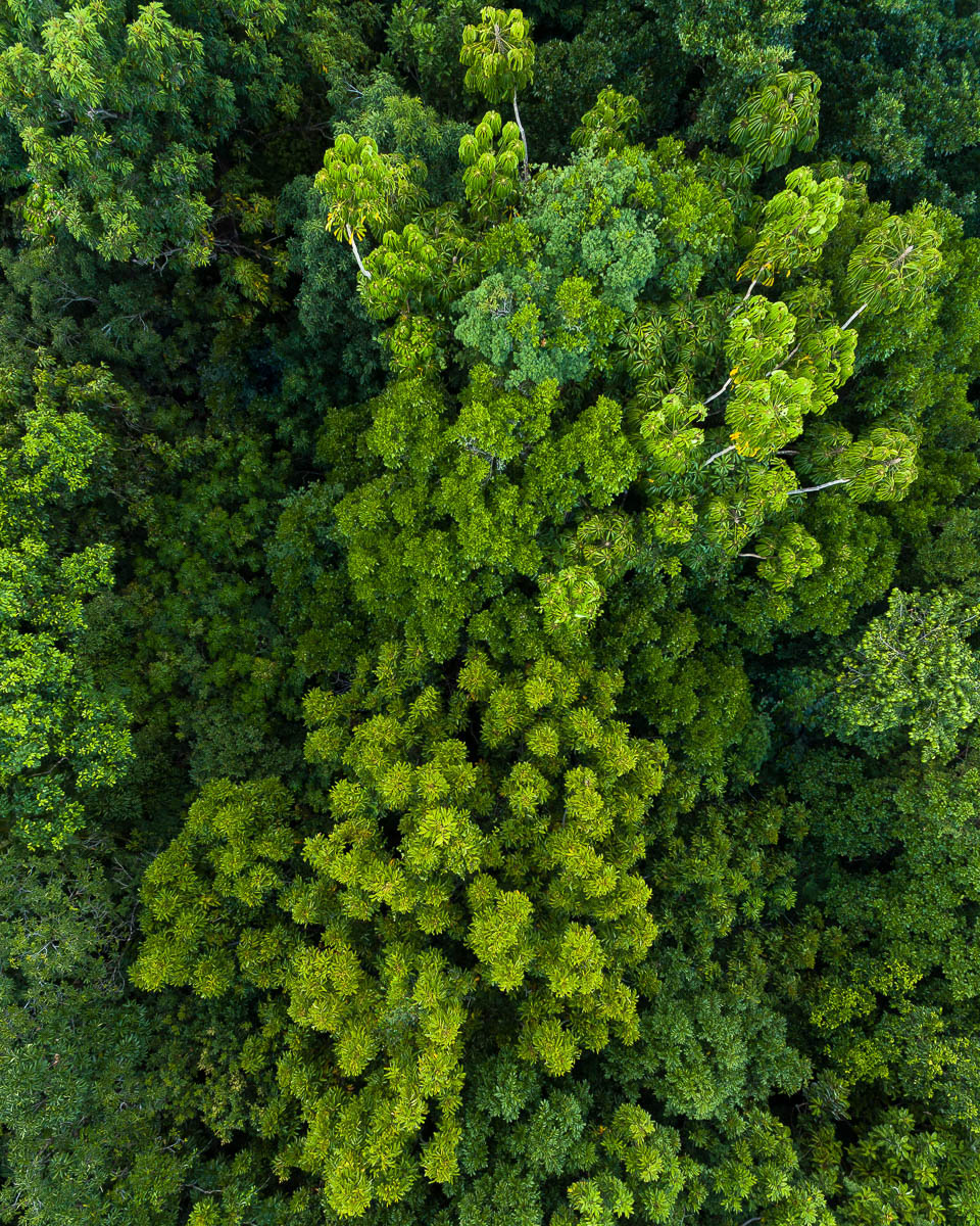 Great Barrier Reef-DJI_0149 2-960 x 1200