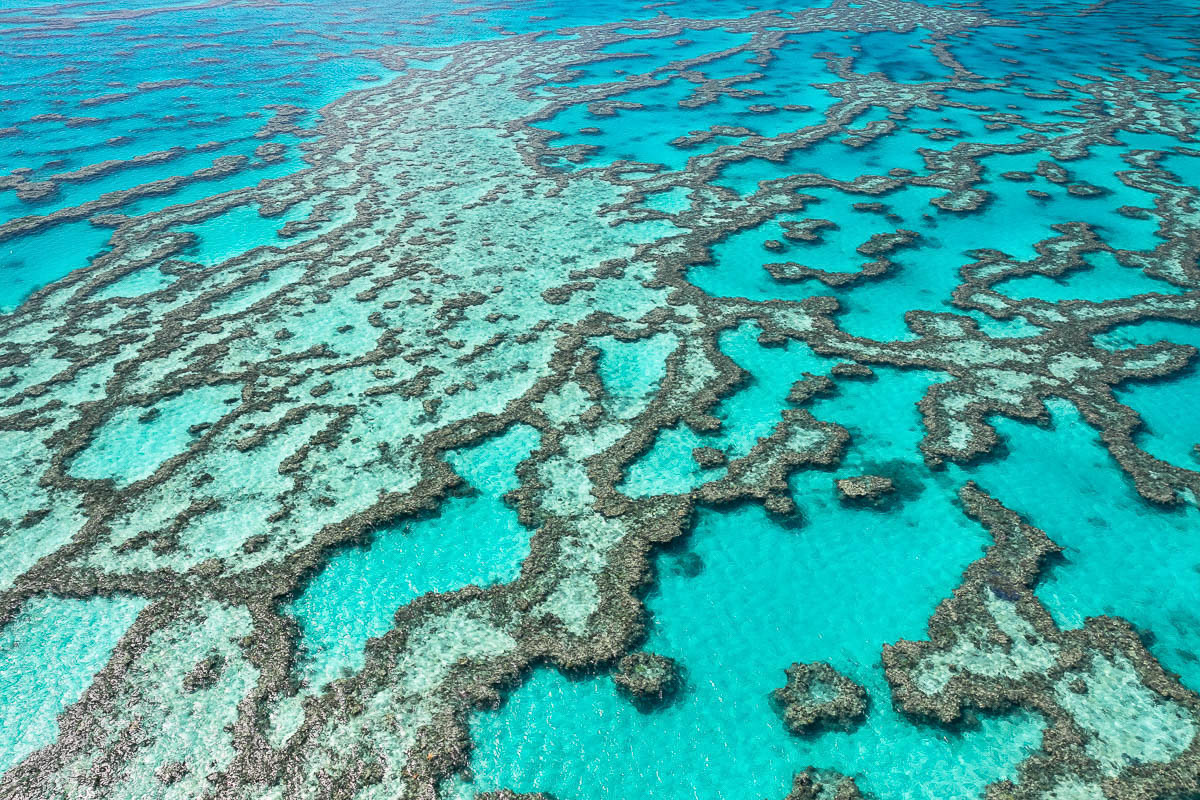 Great Barrier Reef-ES0A3744-1200 x 800