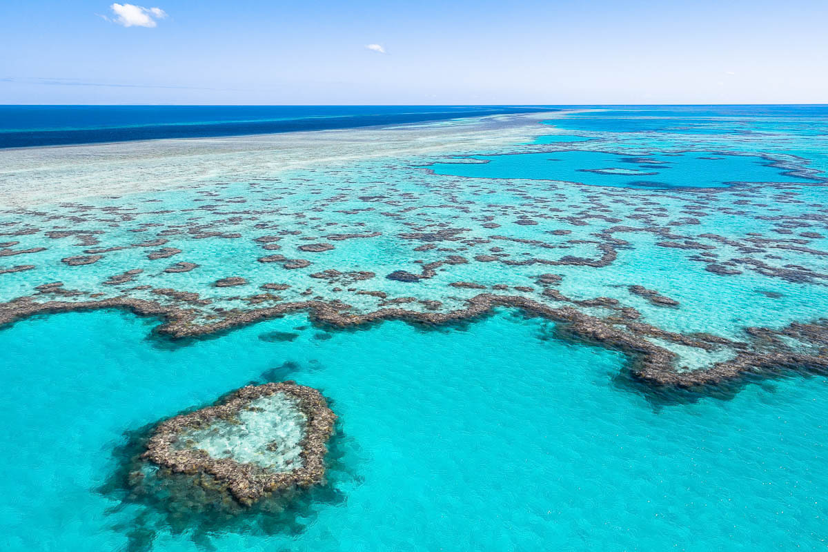 Great Barrier Reef-ES0A3823-2-web-1200 x 800