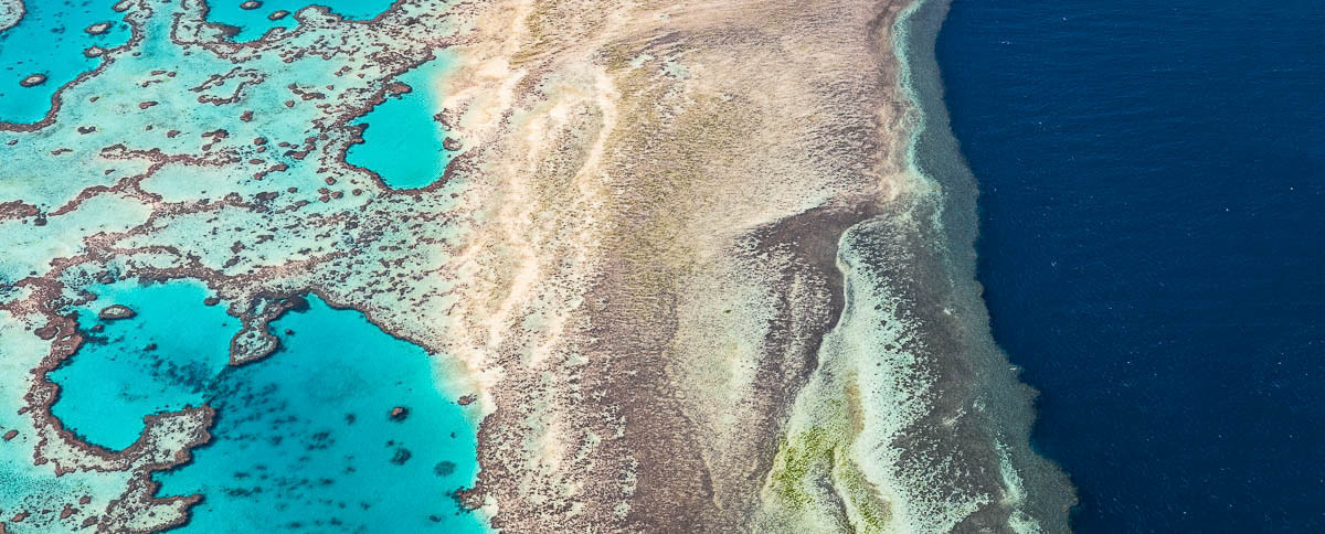 Great Barrier Reef-Great Barrier Reef Pano2-1200 x 484