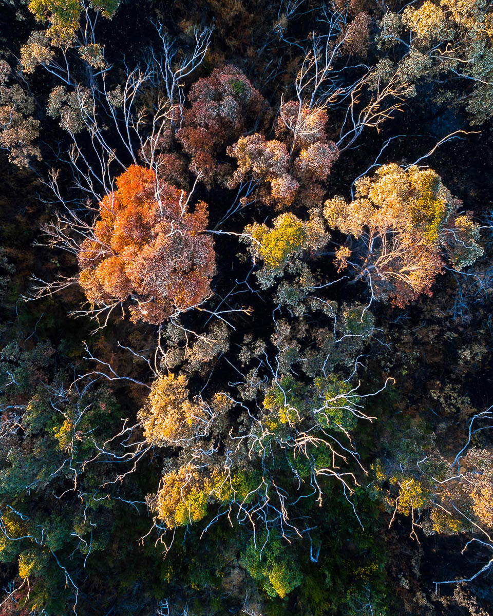 Landscapes-DJI_0047 3-960 x 1200