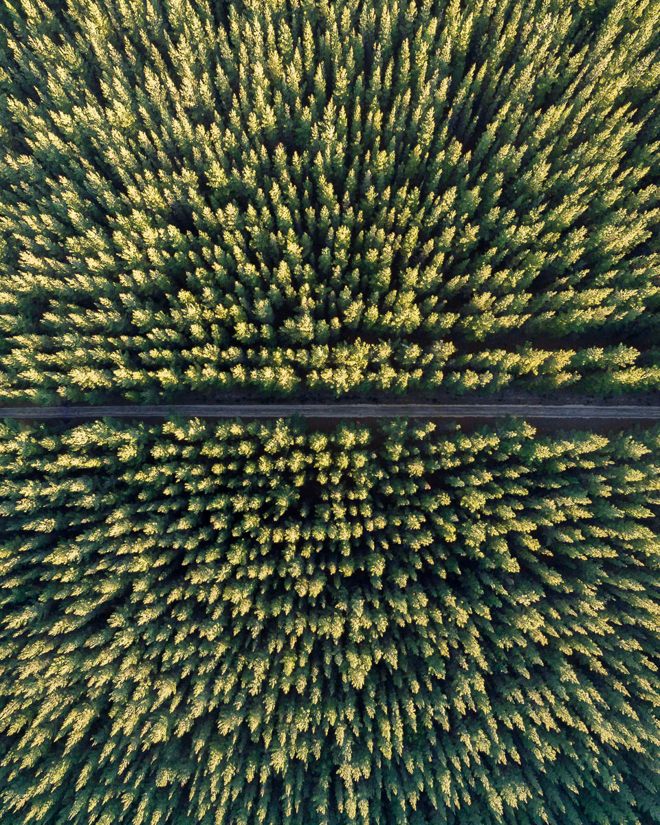 Landscapes-DJI_0061 22-960 x 1200