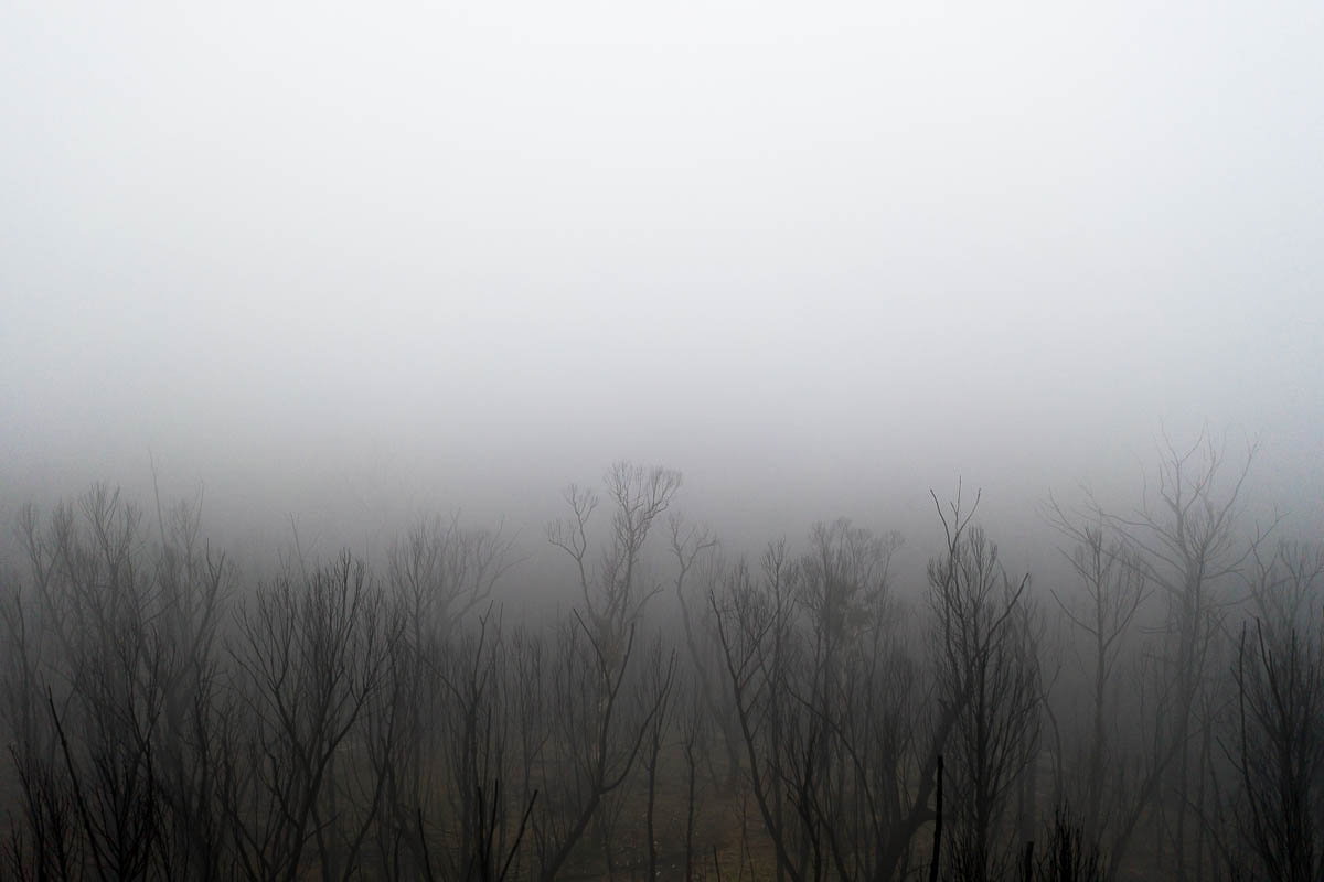 Landscapes-DJI_0997-1200 x 800